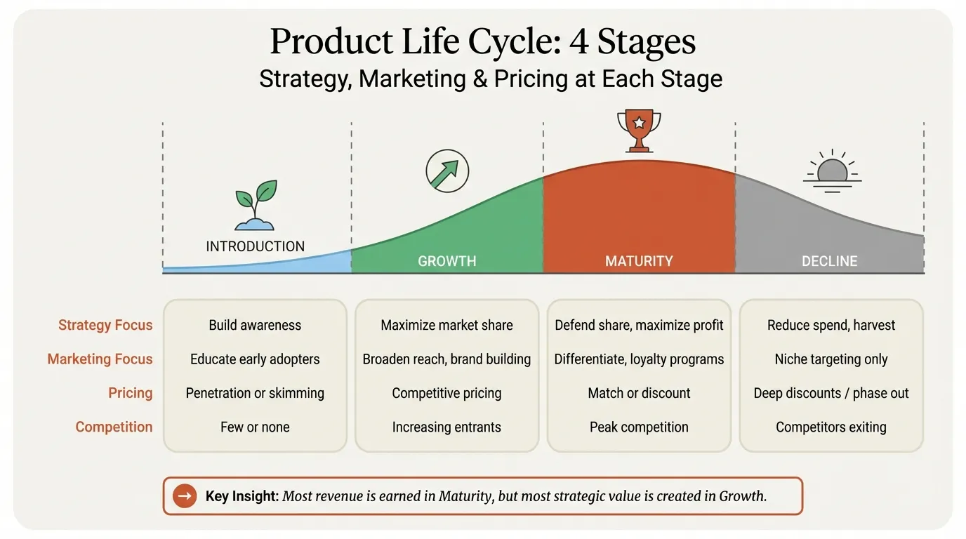 Product life cycle stages showing introduction, growth, maturity, and decline curve